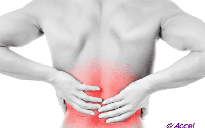 Free Back Pain and Sciatica Workshop – 2/11/20